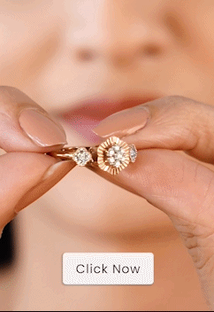 Get the best looks for your occasions