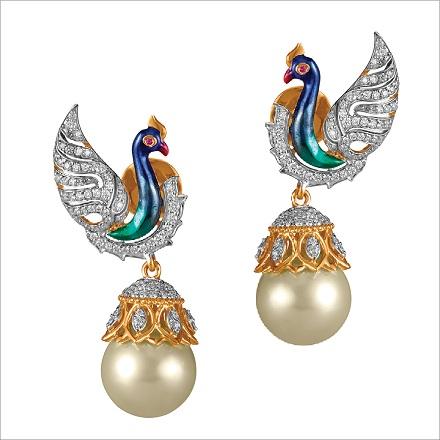 Aranya Collections 5