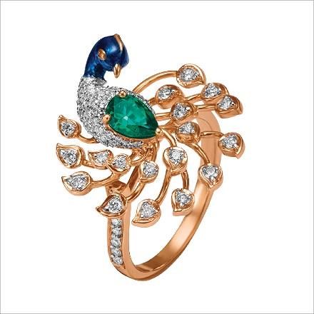Aranya Collections 6