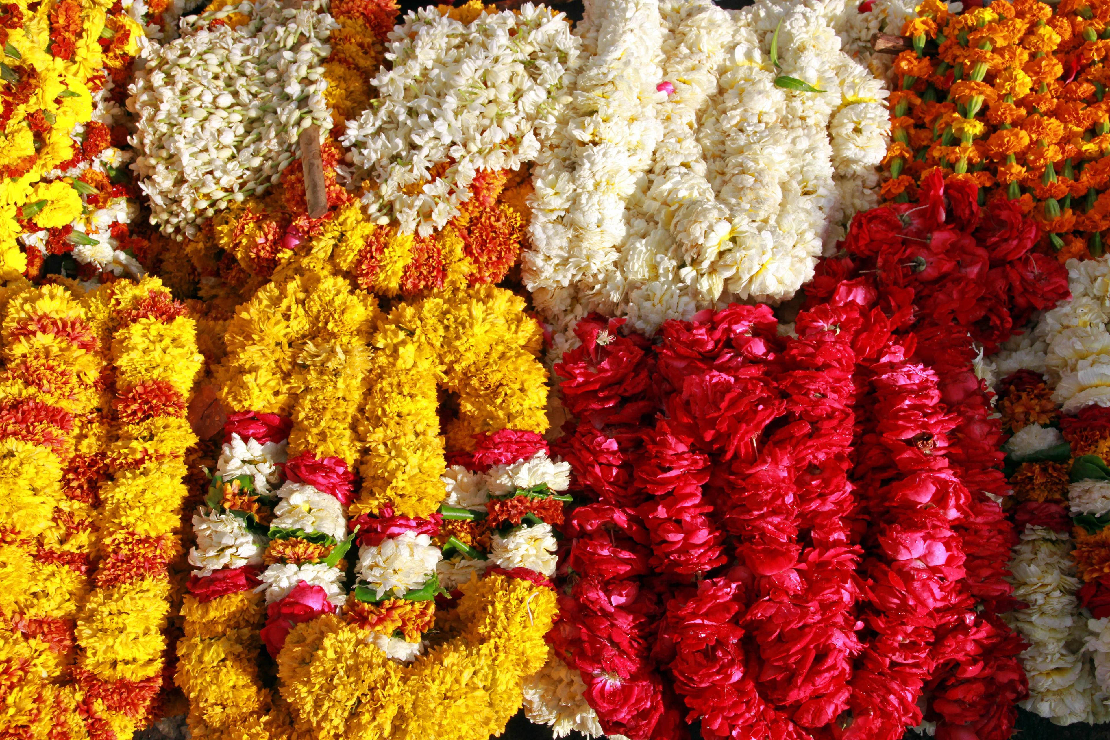 Best Floral Themes for Indian Weddings: Traditional and Contemporary Designs