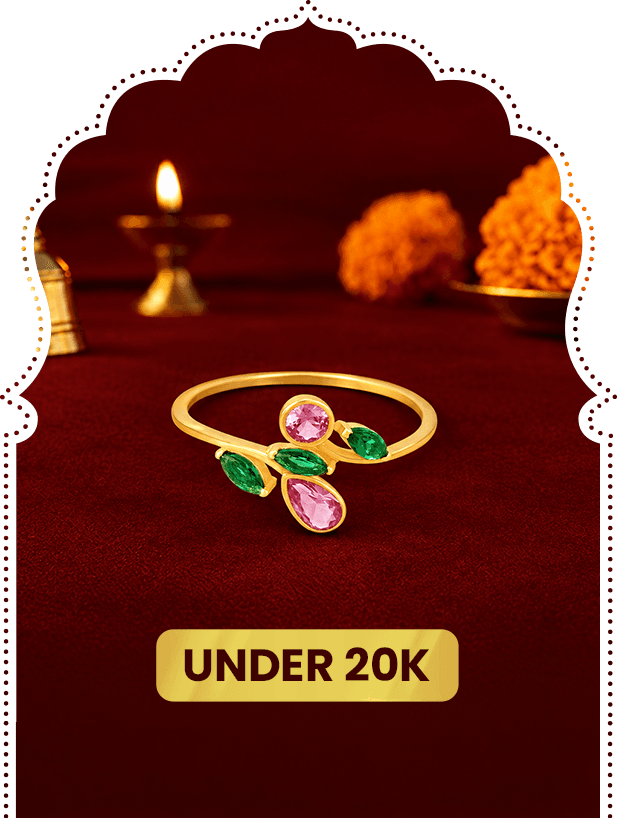 Something Special for Every Budget