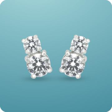 Trendy Dual Stone Silver Earrings